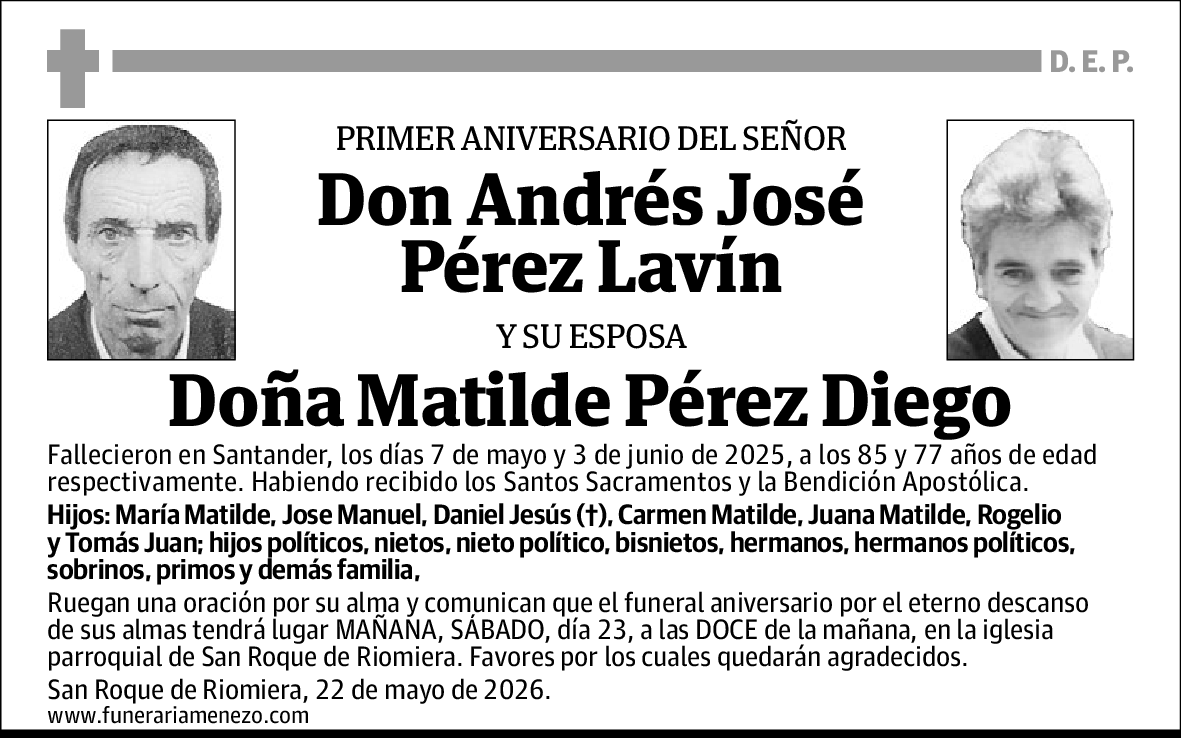 Andrés José y Pérez Diego, Matilde Pérez Lavín