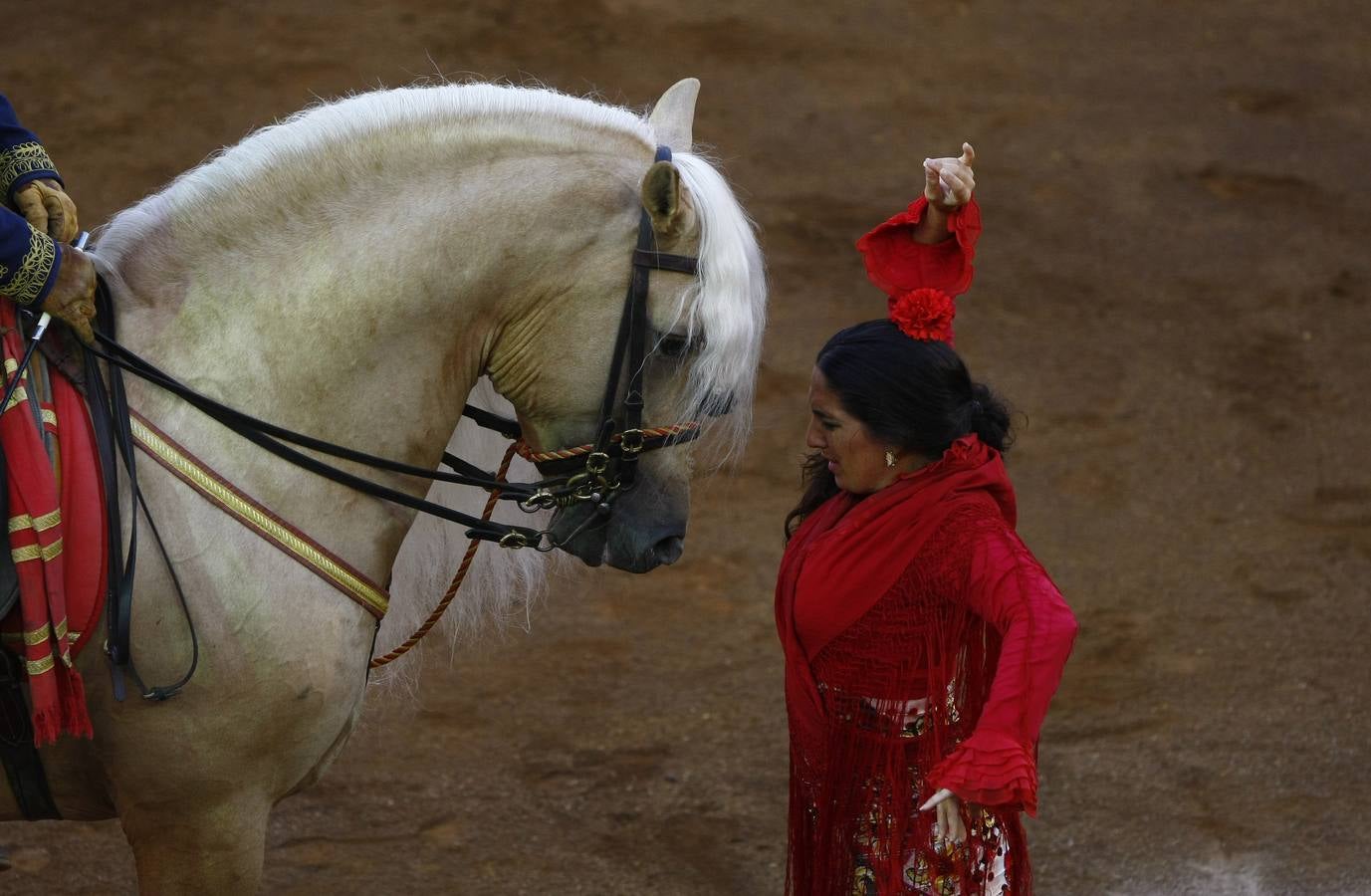 El arte de Andalucía a caballo