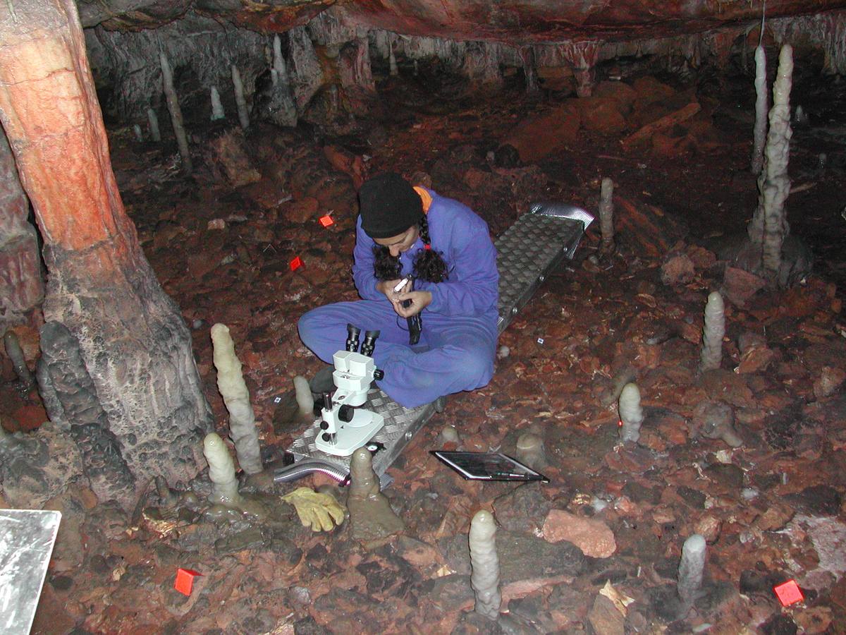 La cueva de La Garma