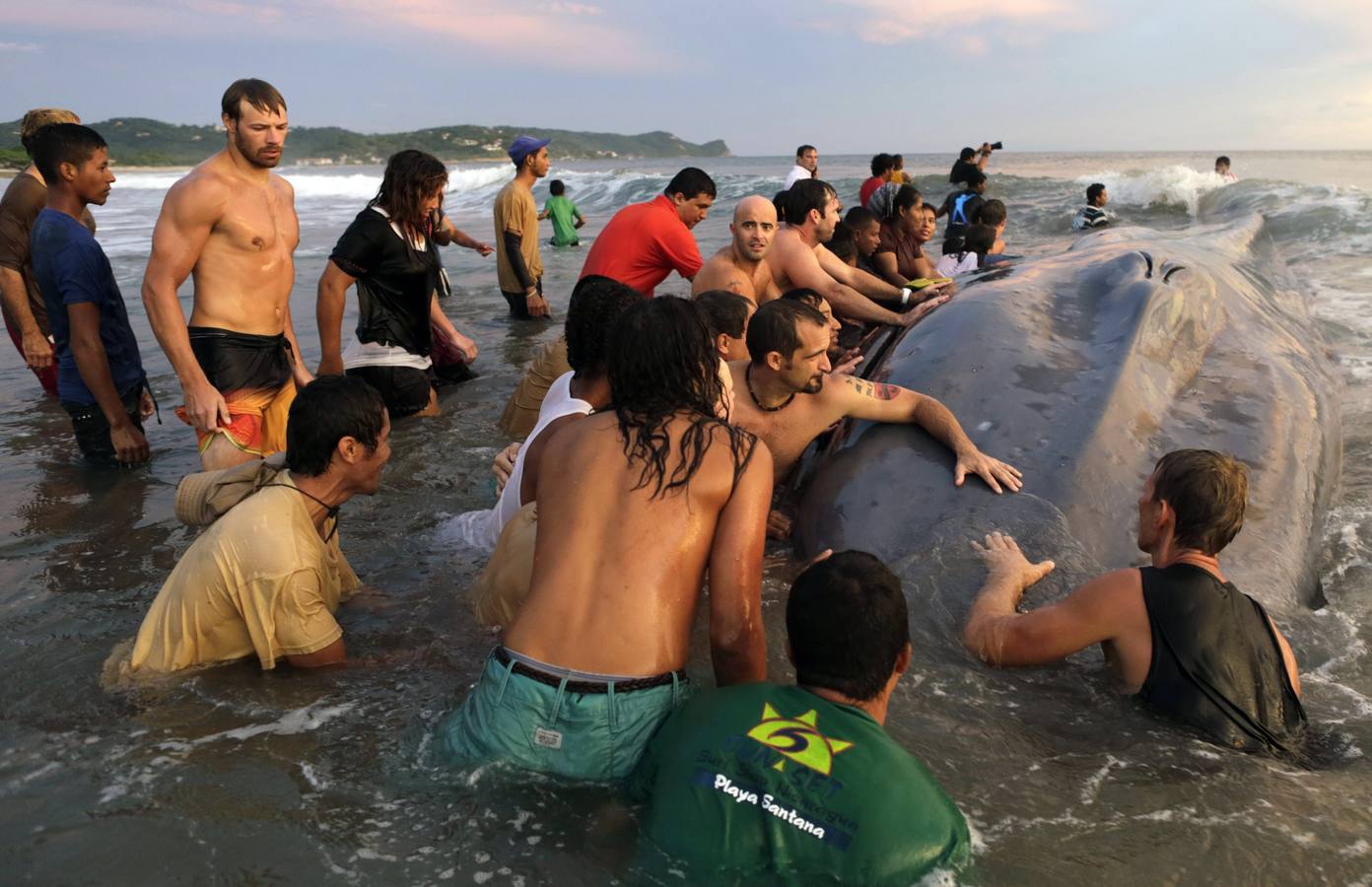 Una ballena azul muere en la costa del pacífico sur de Nicaragua
