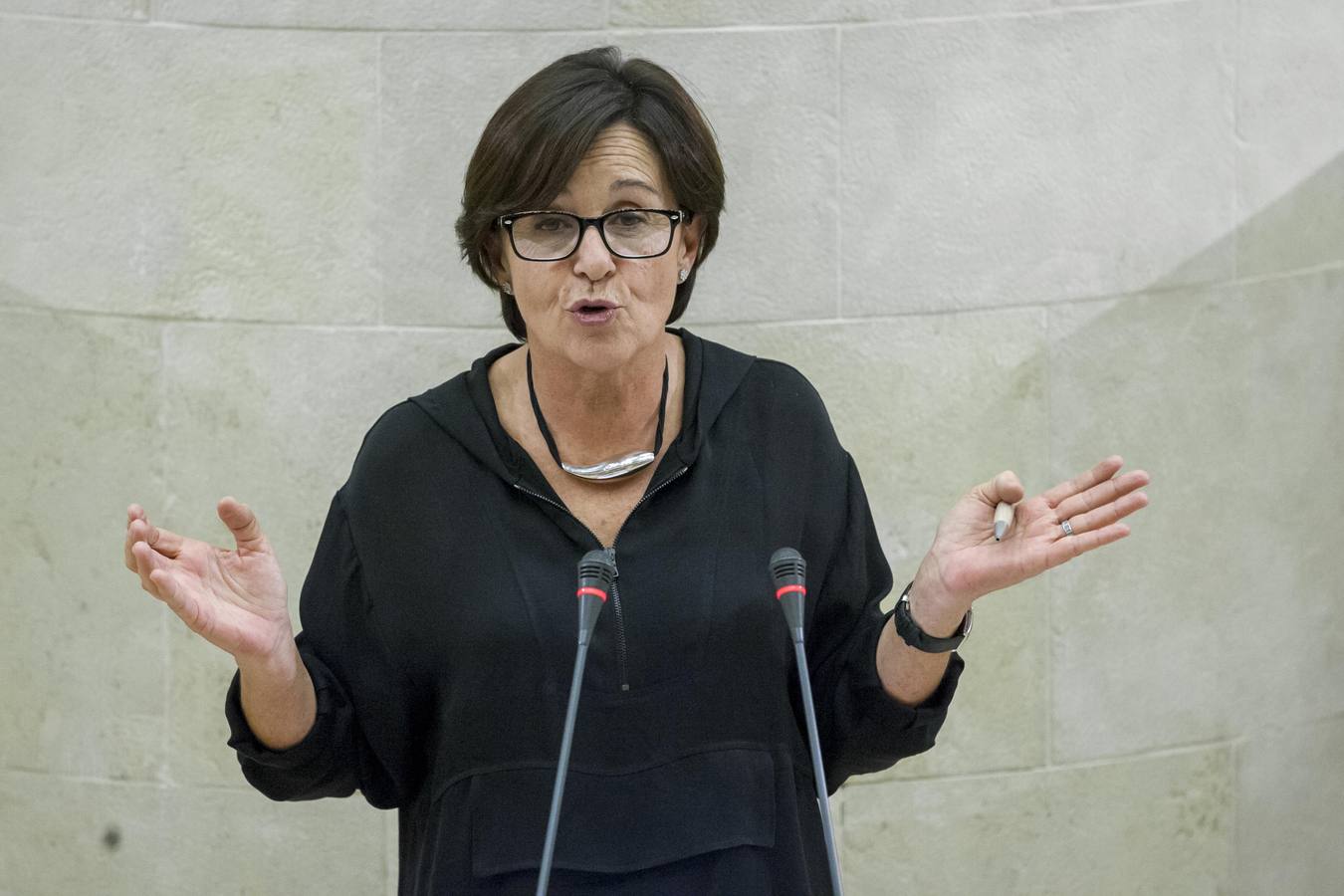 Sesión plenaria en el Parlamento