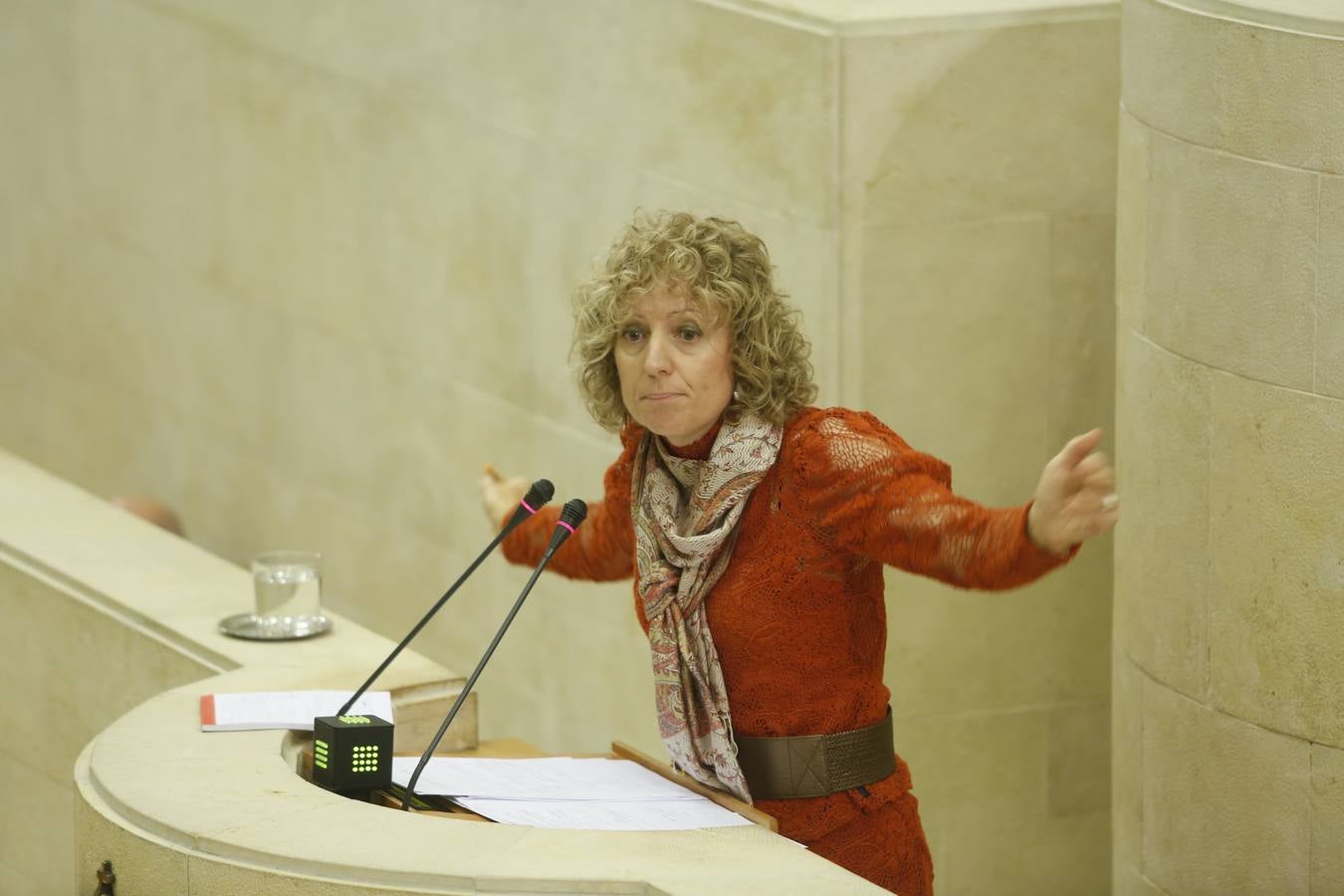 Debate en el Parlamento