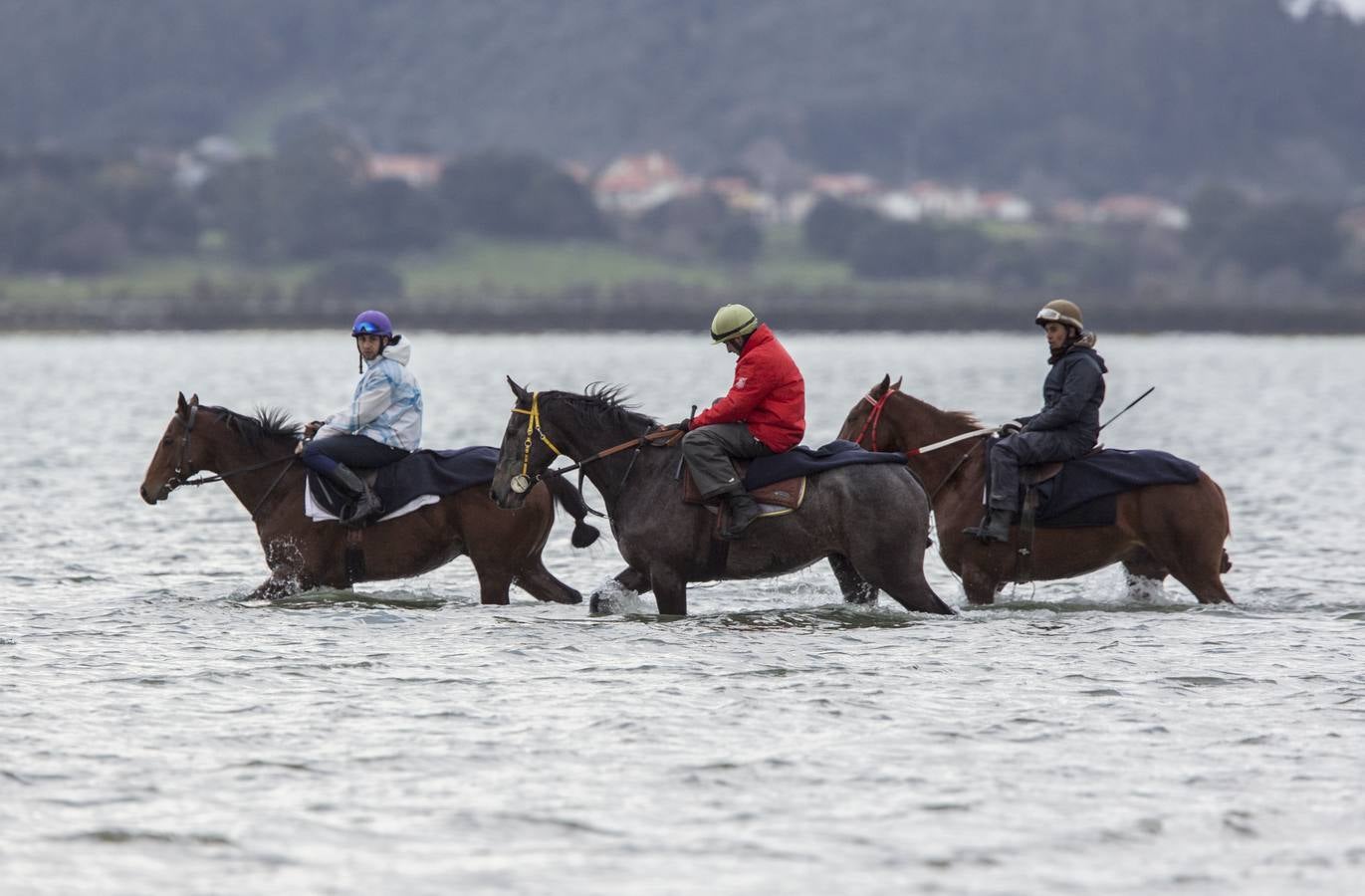 La estrella de la hípica española se recupera en Laredo