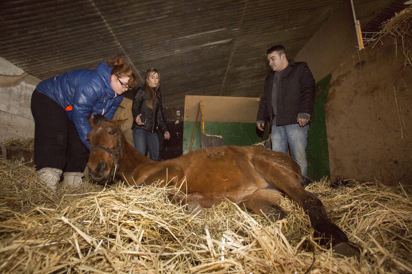 Traslado a otra finca