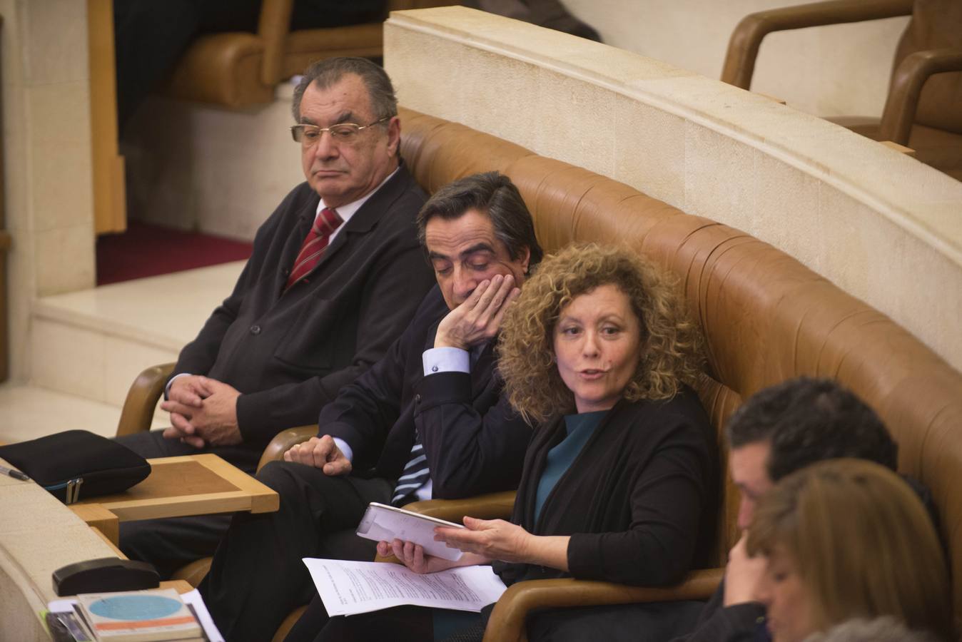 Pleno del Parlamento de Cantabria