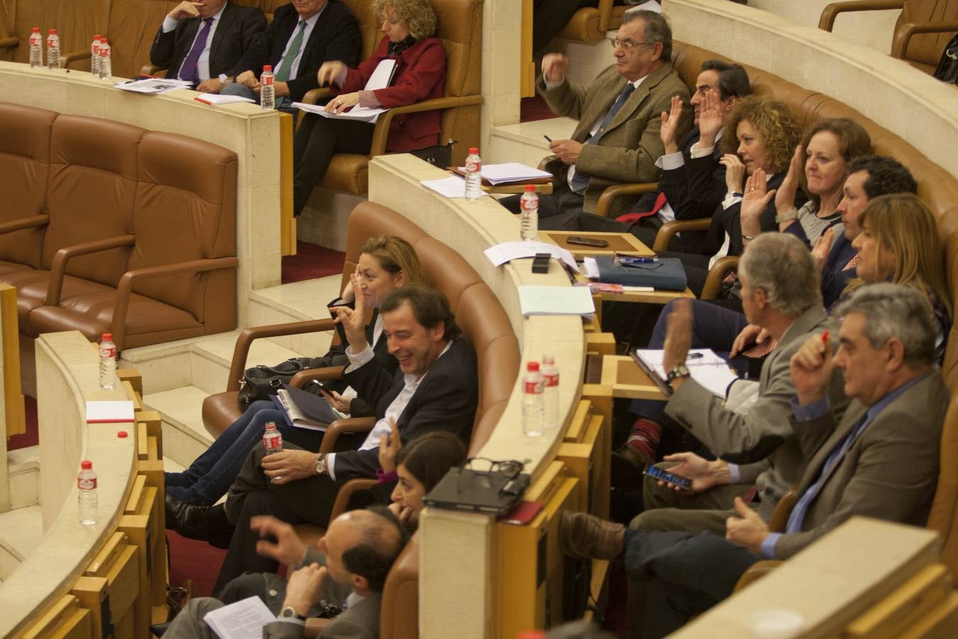 Pleno en Parlamento