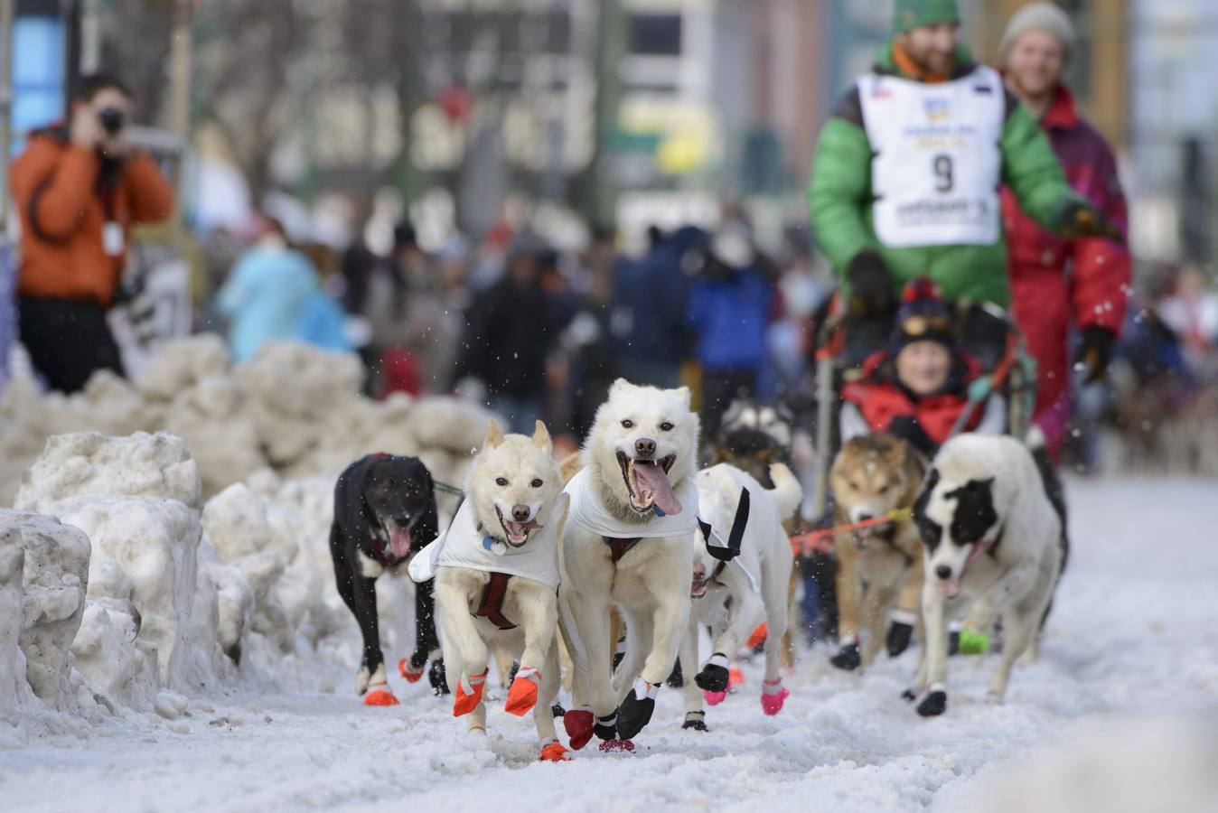 Carrera de perros en Alaska