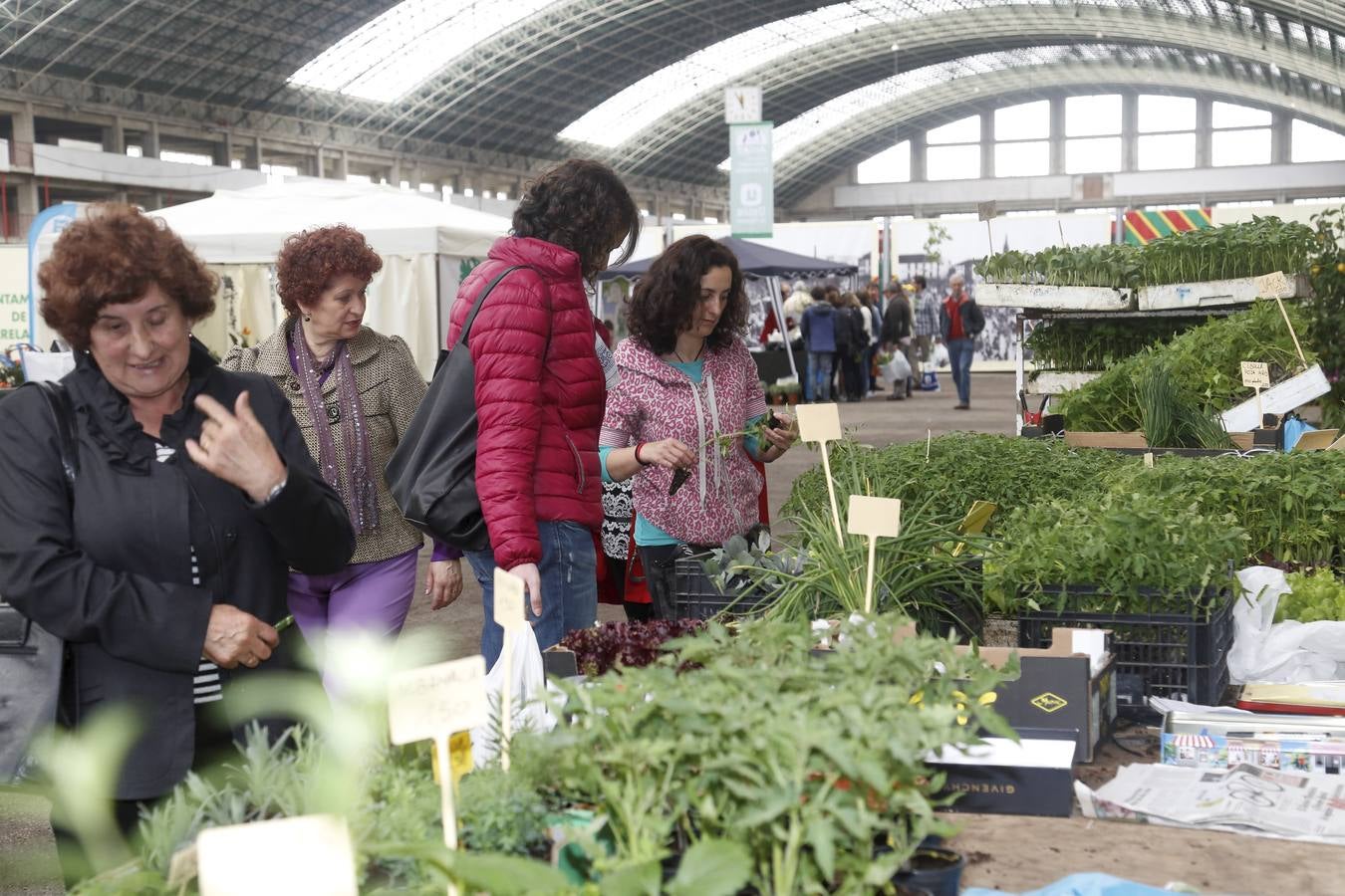 IV Feria de Árboles y Plantas de Torrelavega