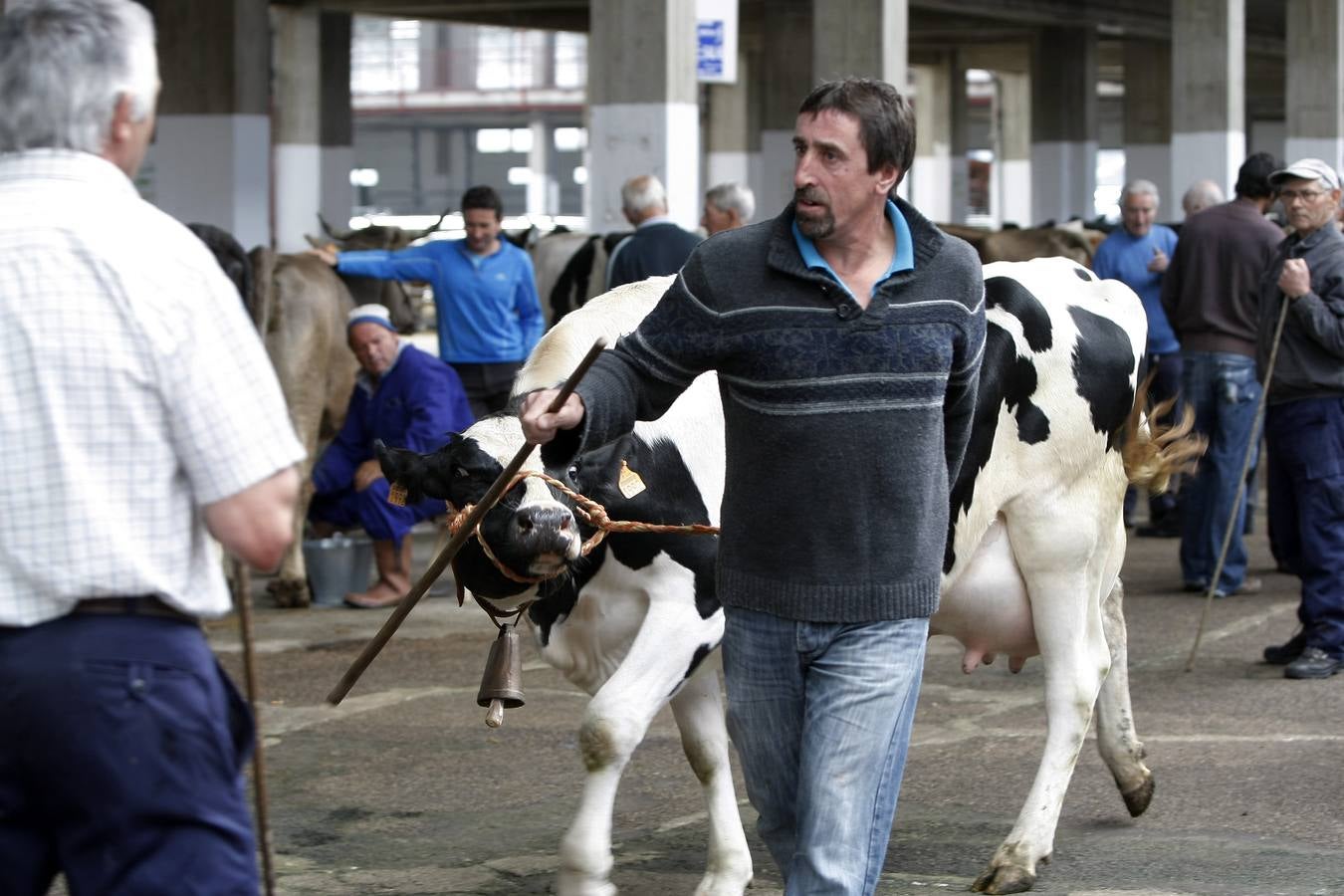 Feria de ganado en Torrelavega