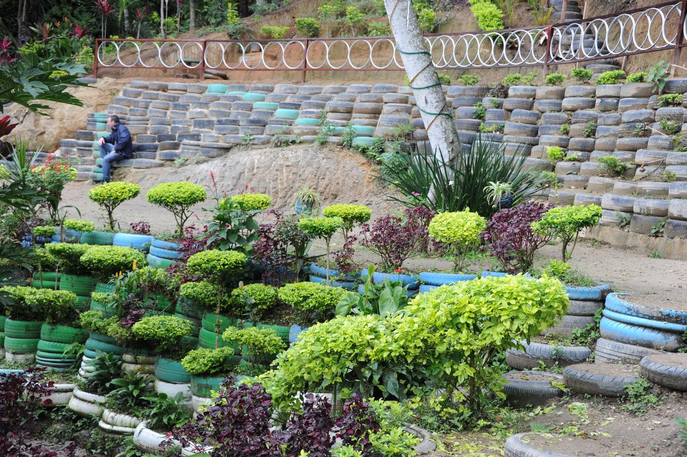 Parque Ecológico en Vidigal Hill, en Río de Janeiro