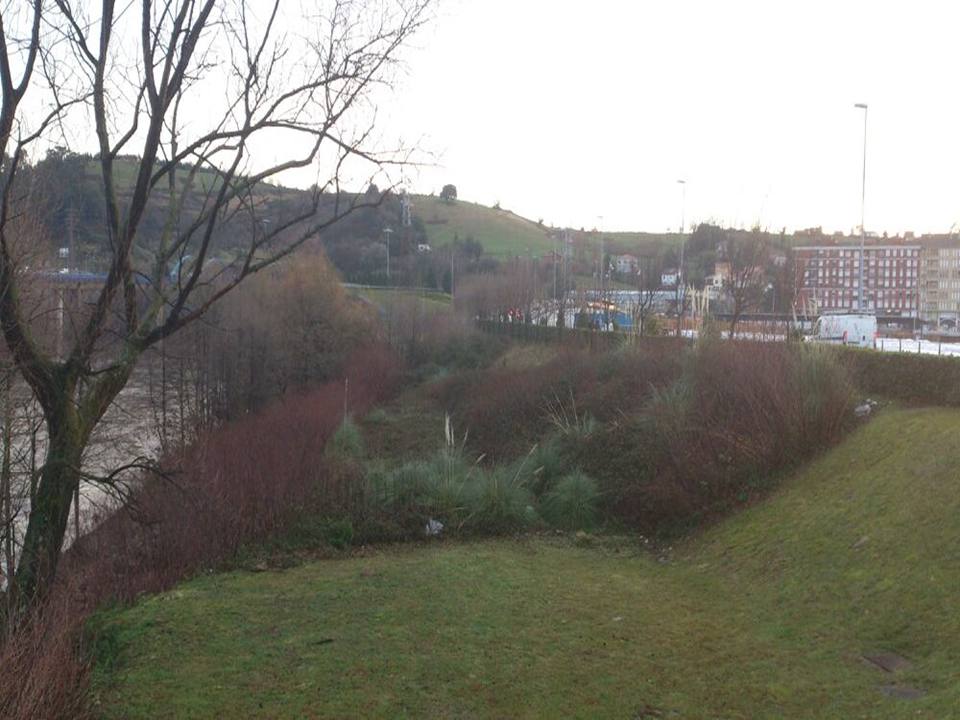 Recuperación ambiental de los ríos de Torrelavega