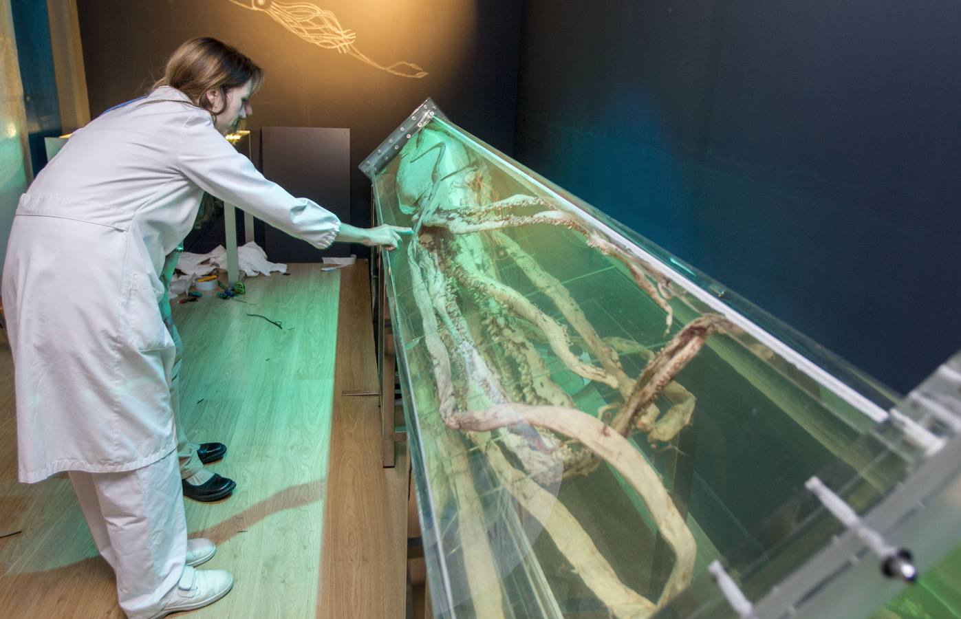 El Museo Marítimo del Cantábrico