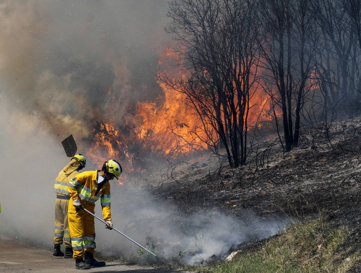 Incendio forestal en Camargo