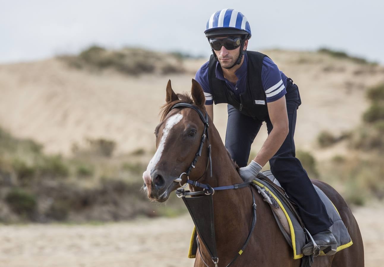 Un buen negocio al galope