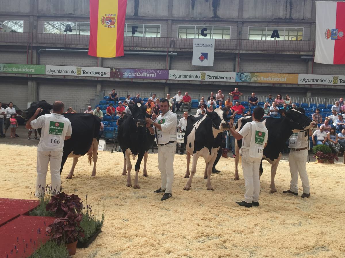 'Gala', la mas guapa