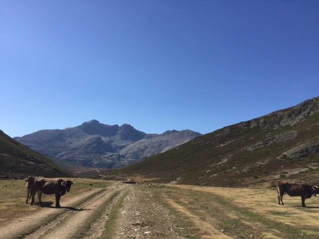 La montaña palentina