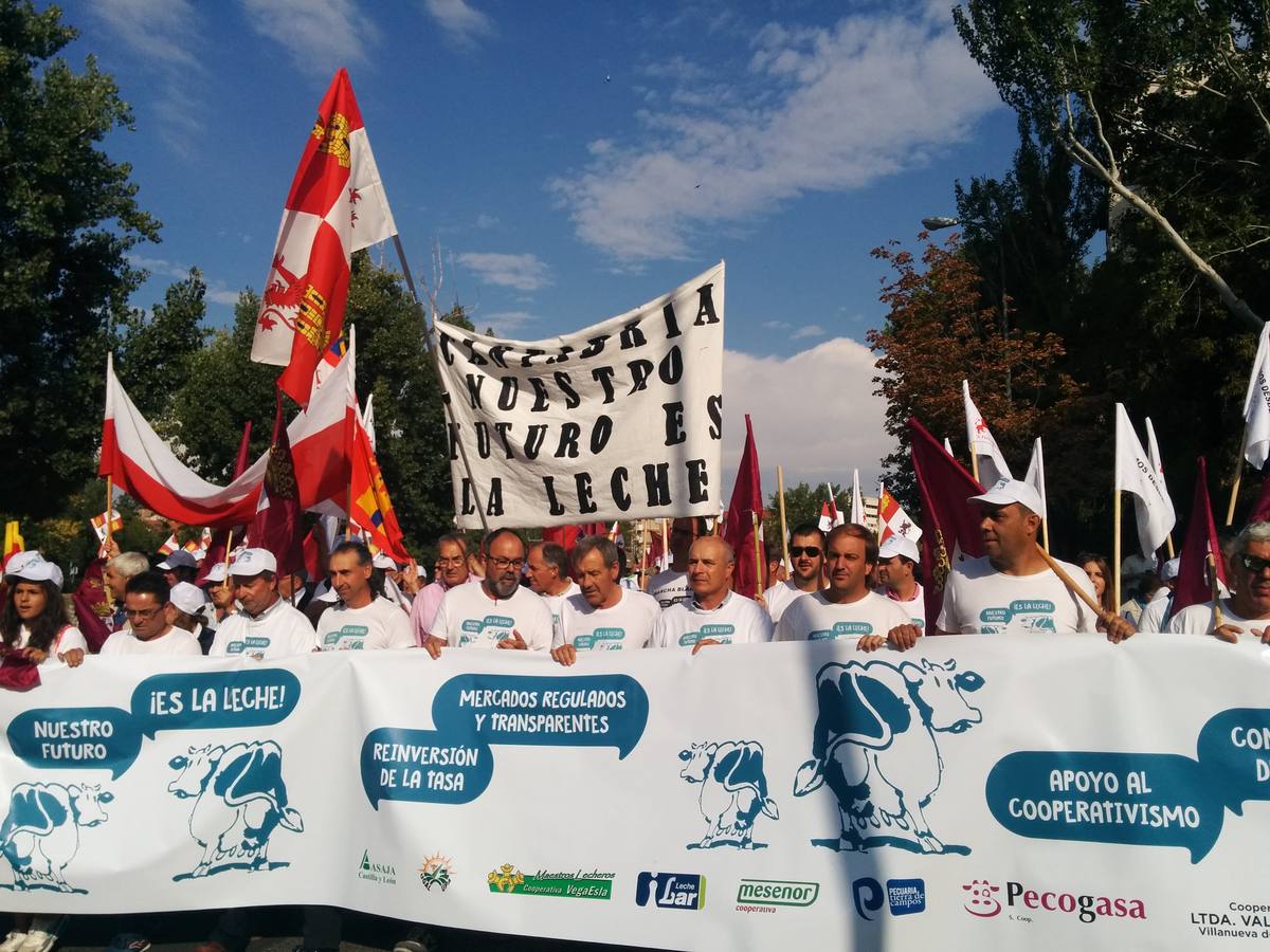 'La Marcha blanca' camino de Madrid