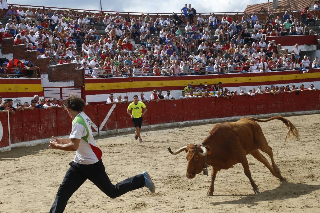 Segundo encierro de las fiestas de Ampuero
