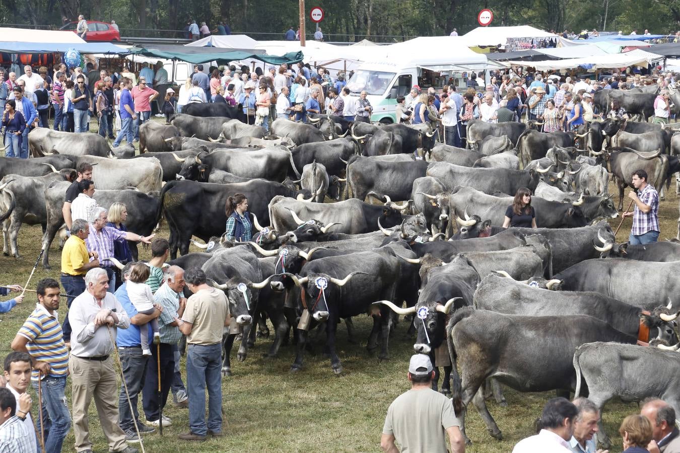 Feria de San Miguel, en Puentenansa