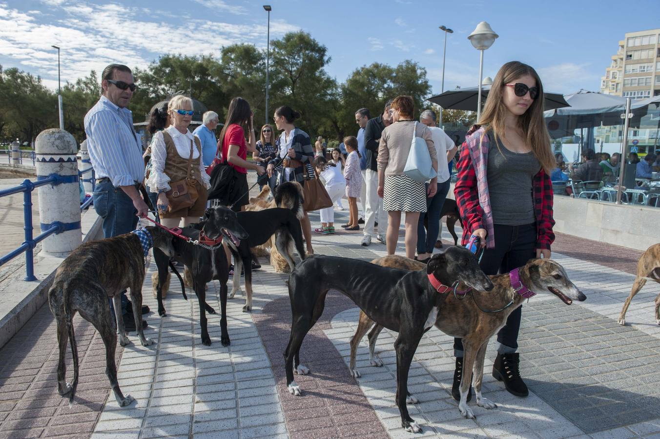 Paseo de apoyo a los galgos maltratados y abandonados