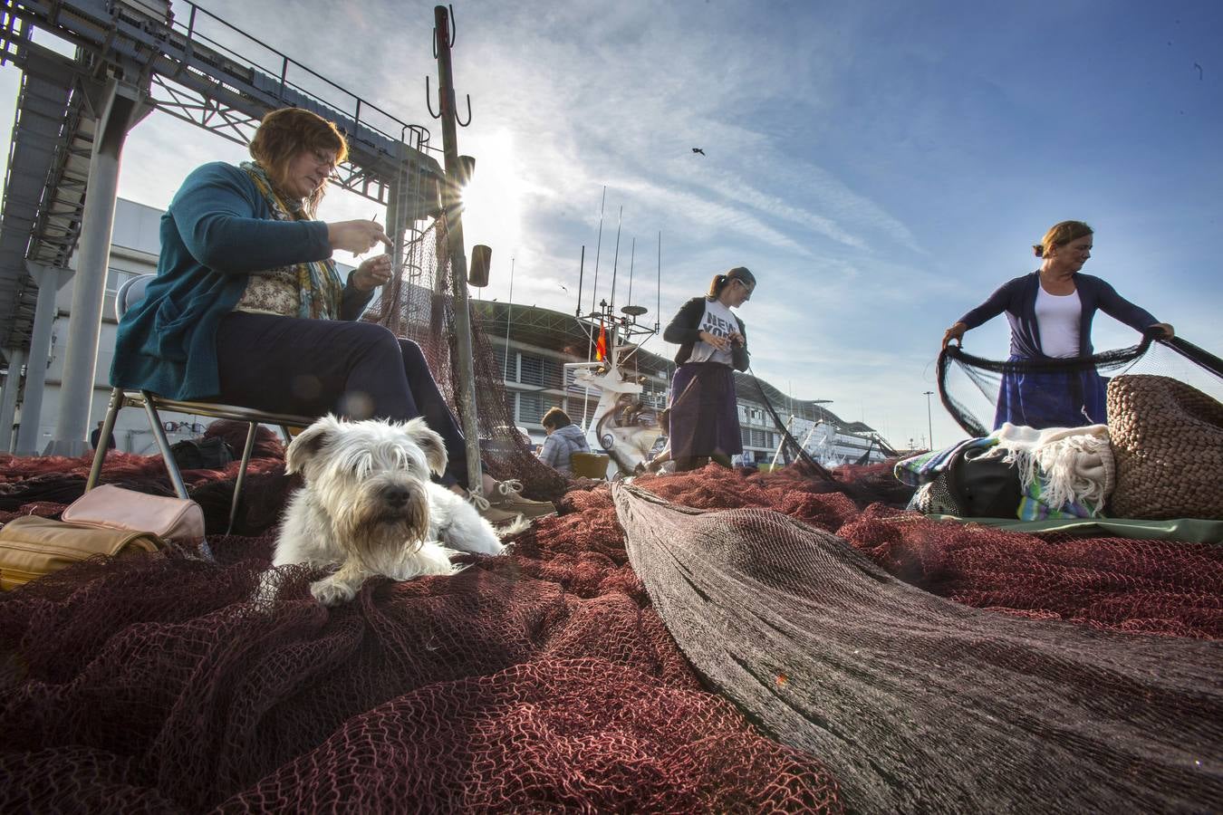 Las supervivientes de los puertos