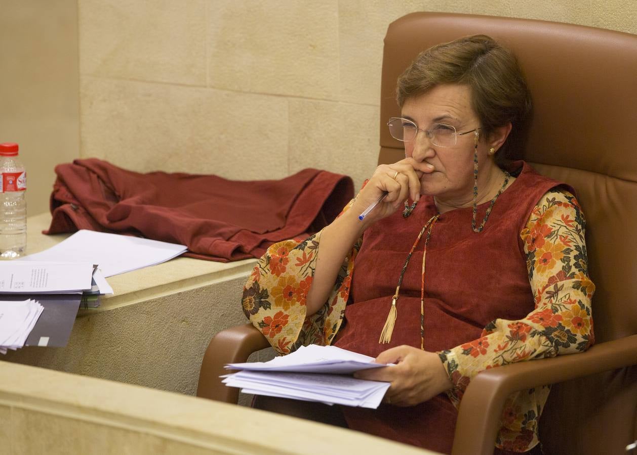 El Parlamento cántabro aprueba elevar el límite de la deuda