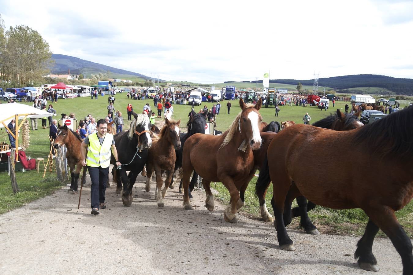 Feria ganadera en Requejo