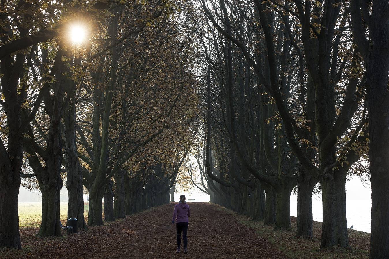 La estación de las hojas caídas