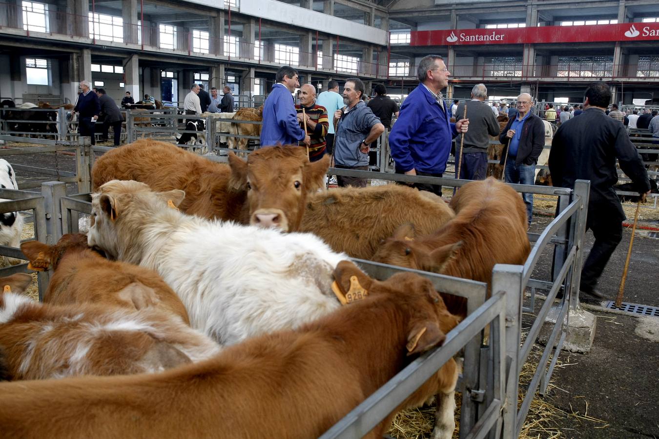 Feria de contrastes en Torrelavega, con un notable repunte del sector lácteo