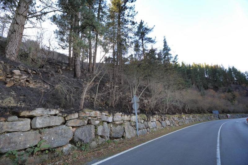 Paisajes de Cabuérniga después de los incendios