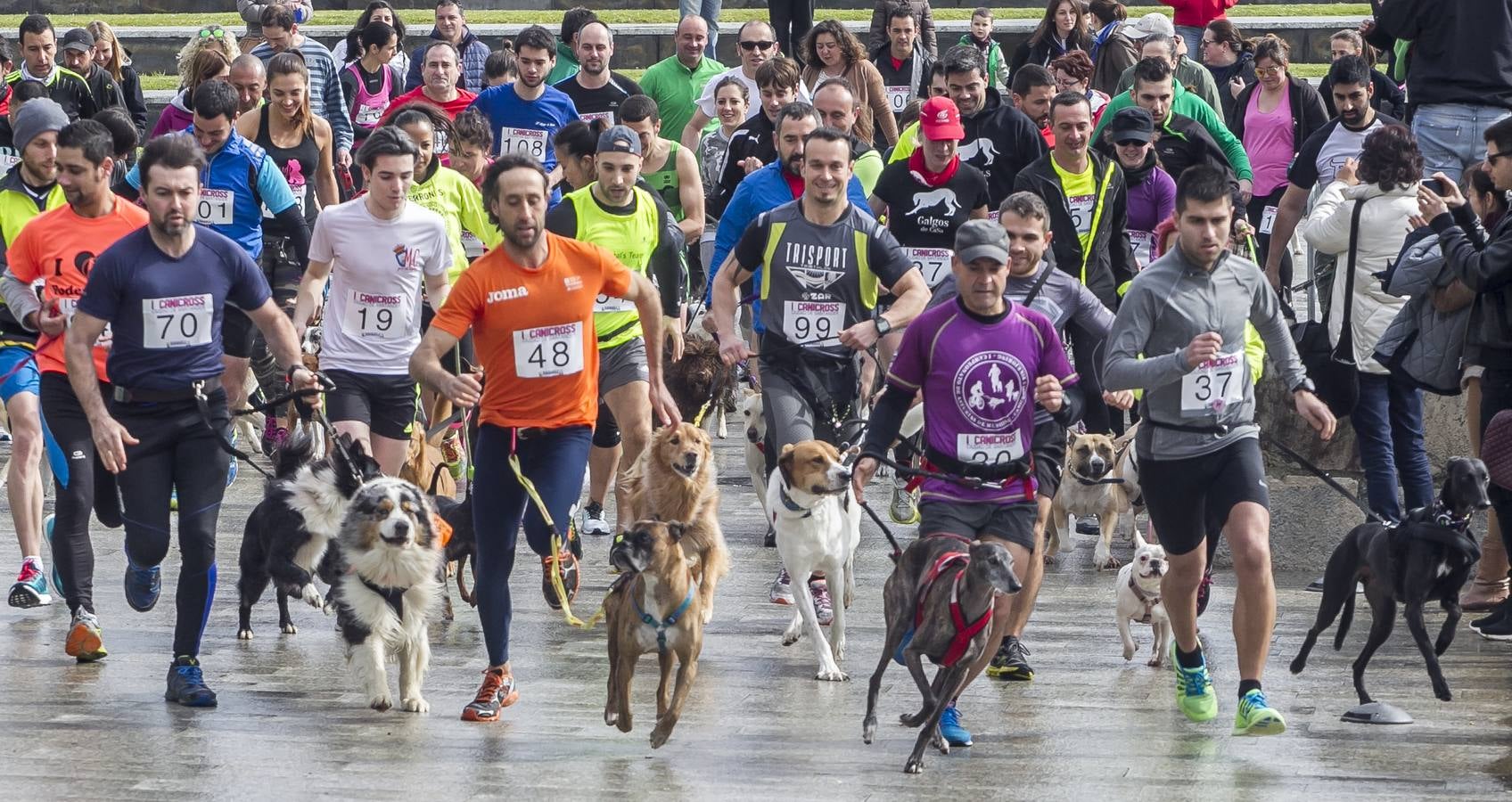 I Canicross Ciudad de Santander