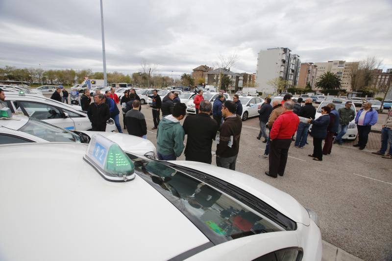 Manifestación de los taxistas de Santander