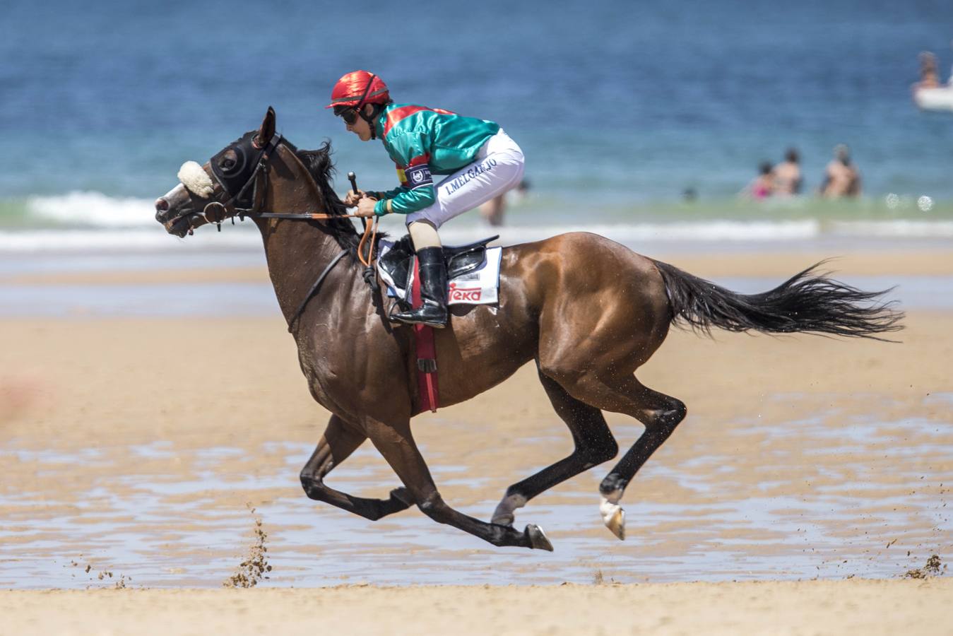 Los mejores caballos en Loredo