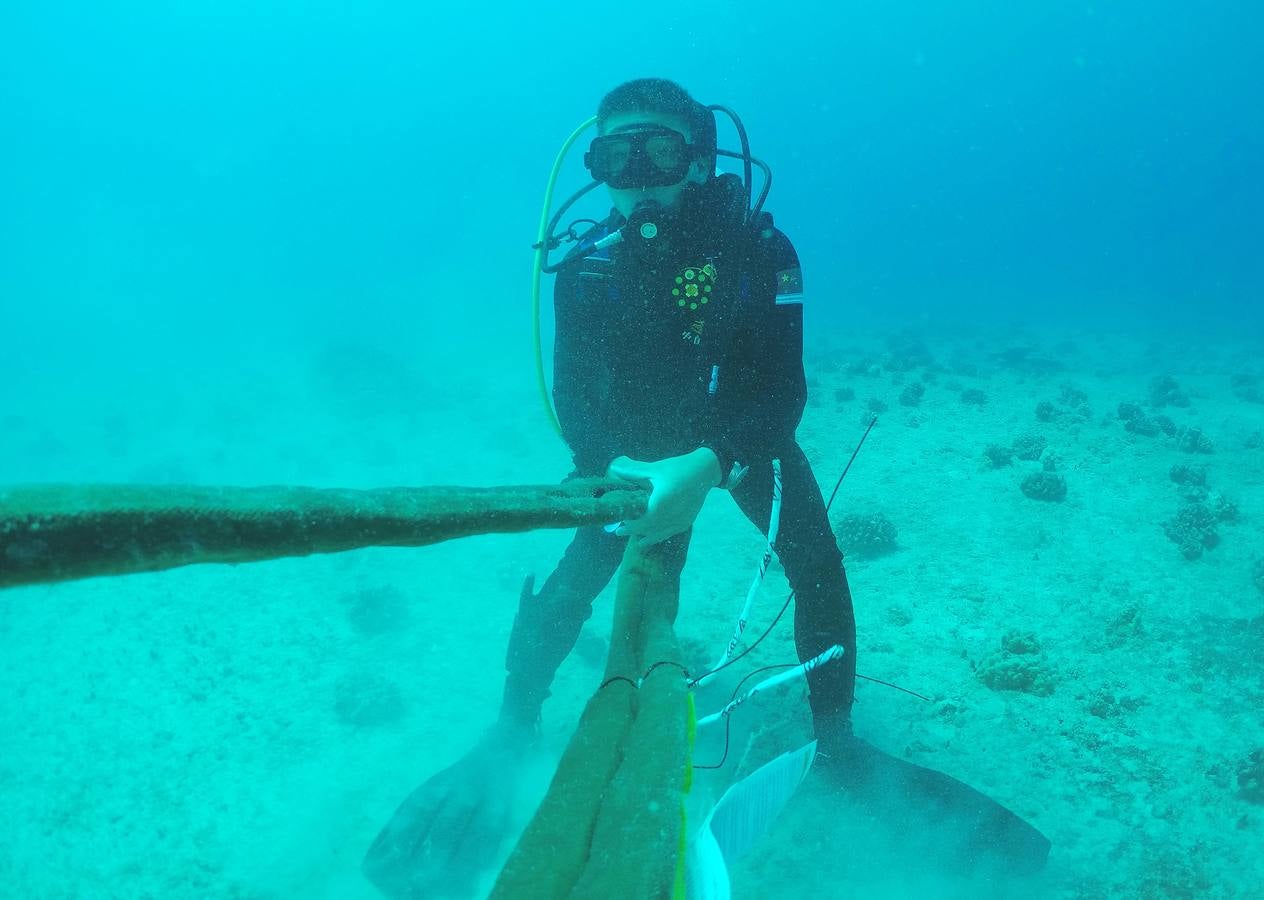 Submarinismo en Oahu