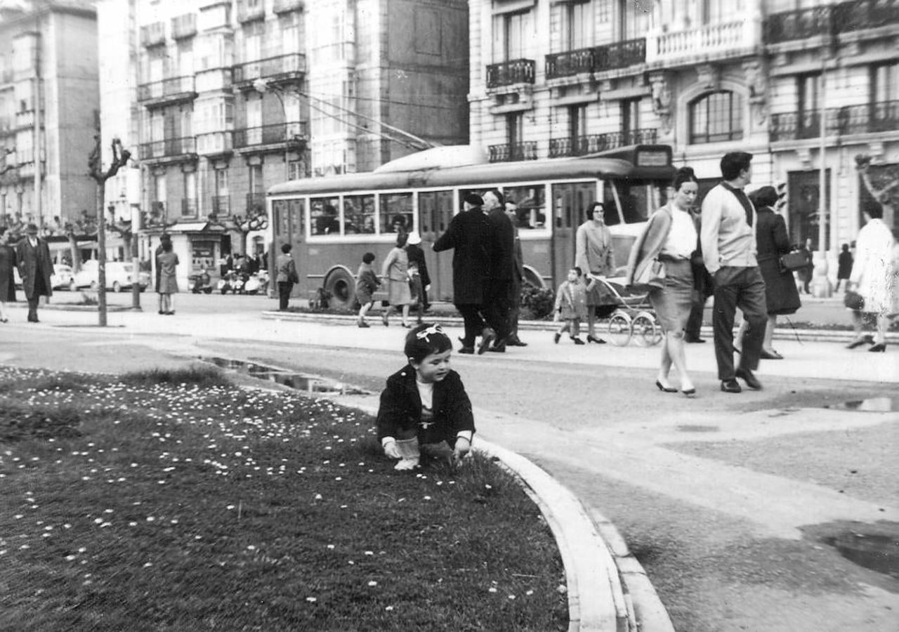 Del burro al híbrido