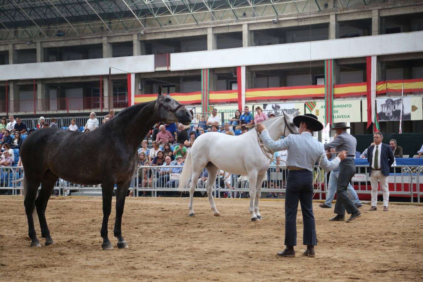 La belleza de la raza española