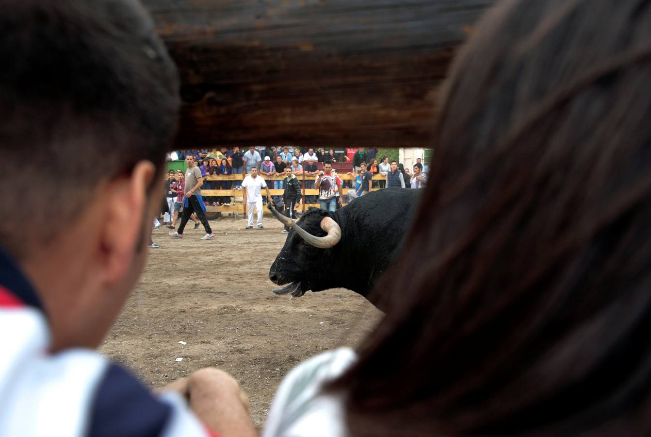 Las imágenes más espectaculares del nuevo Toro de la Vega