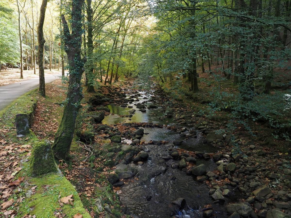 Paseo gráfico por el otoño de Ucieda