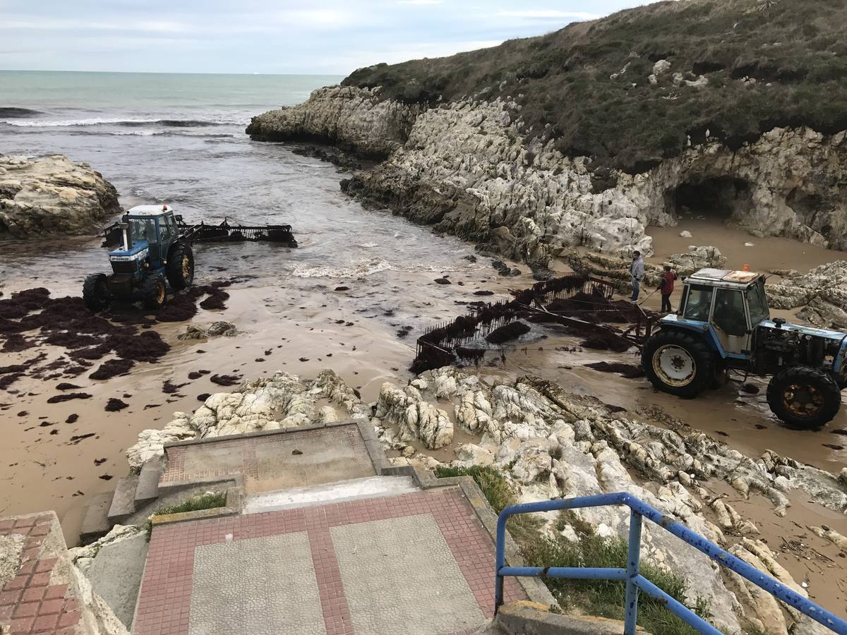 Recogida de caloca en la Virgen del Mar