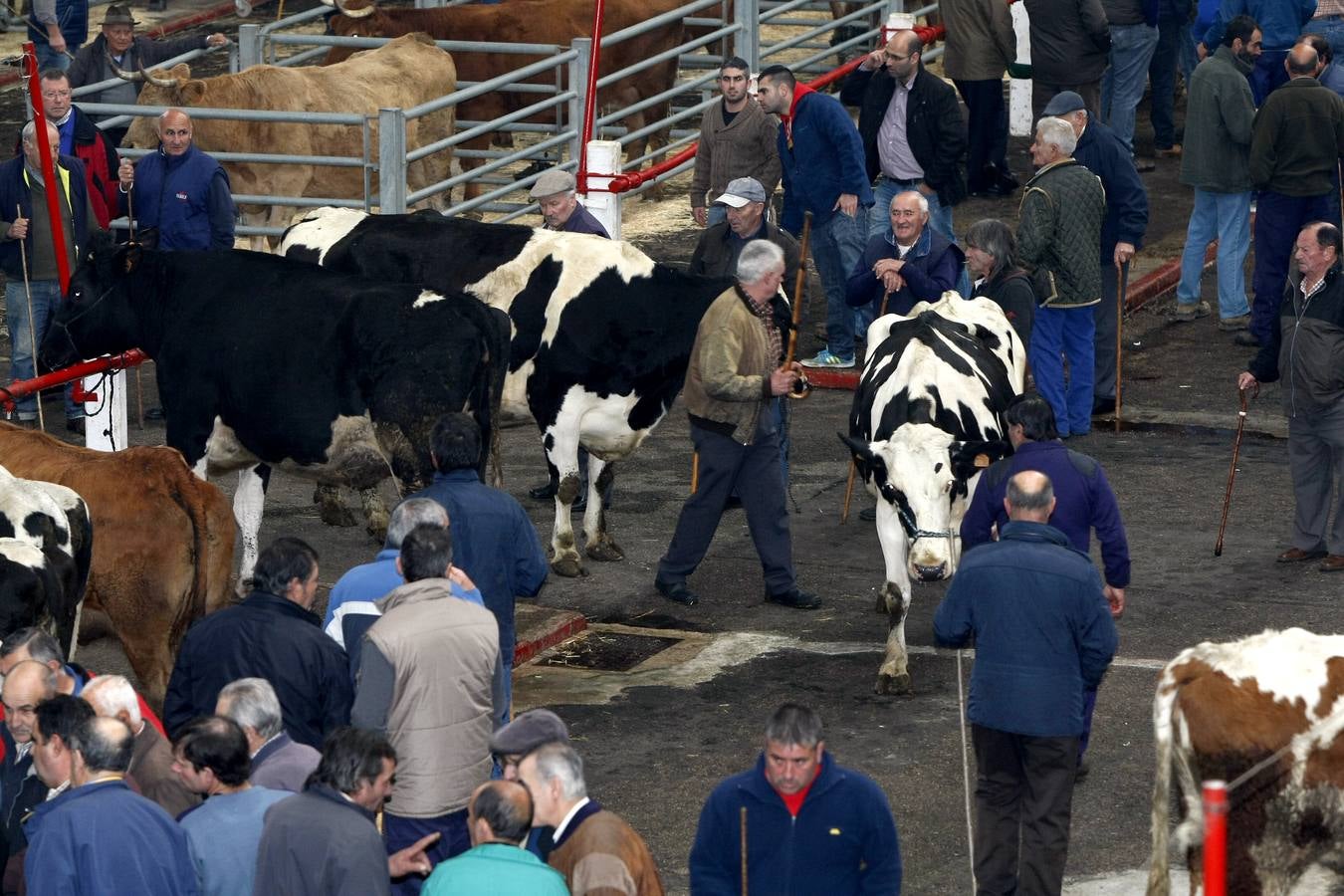 Mercado de Ganados de Torrelavega