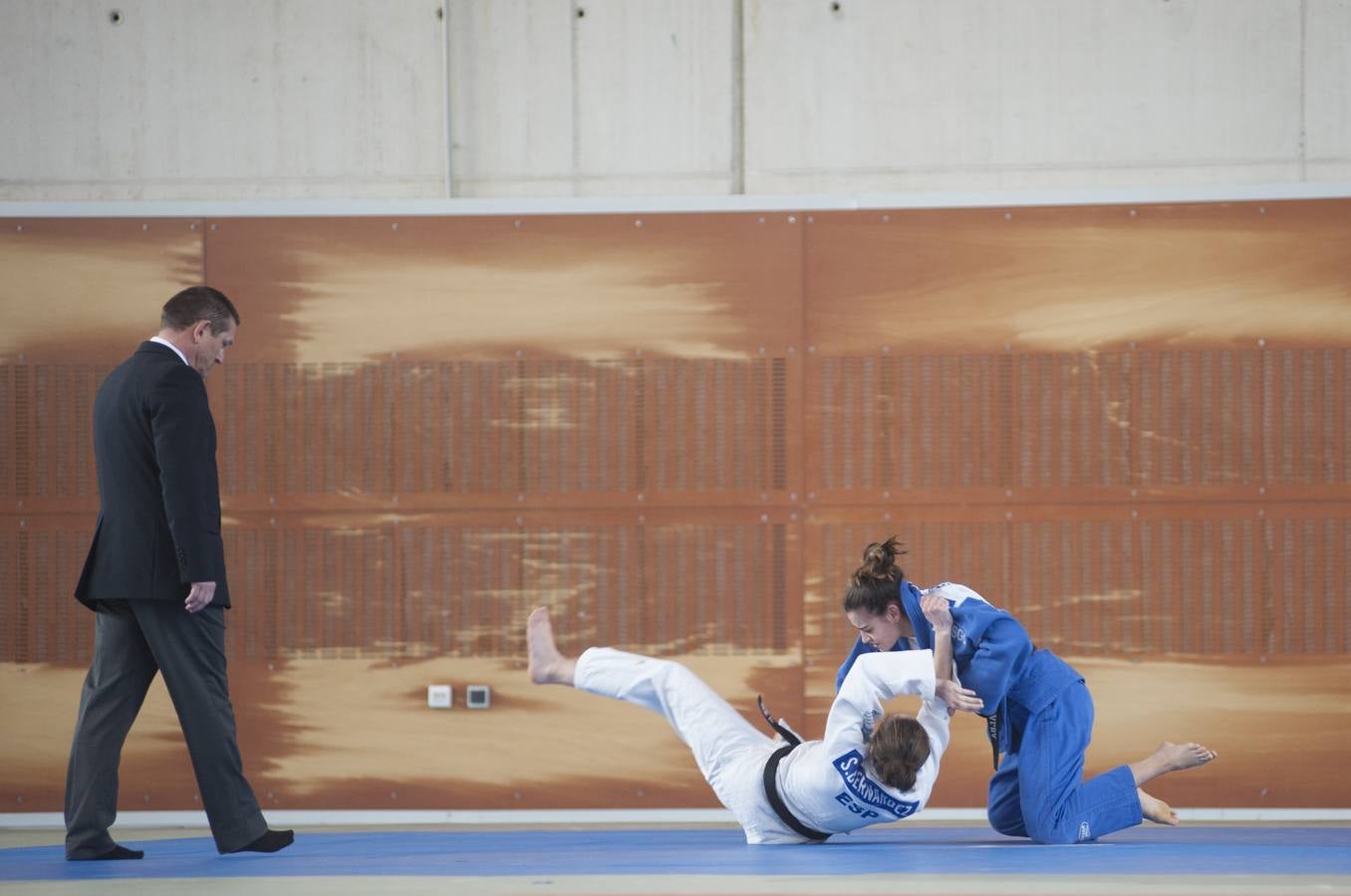 Pelea de judokas