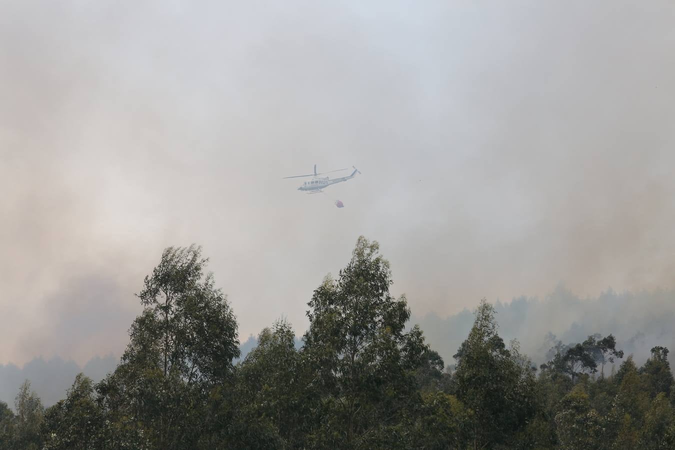 Imágenes de los incendios