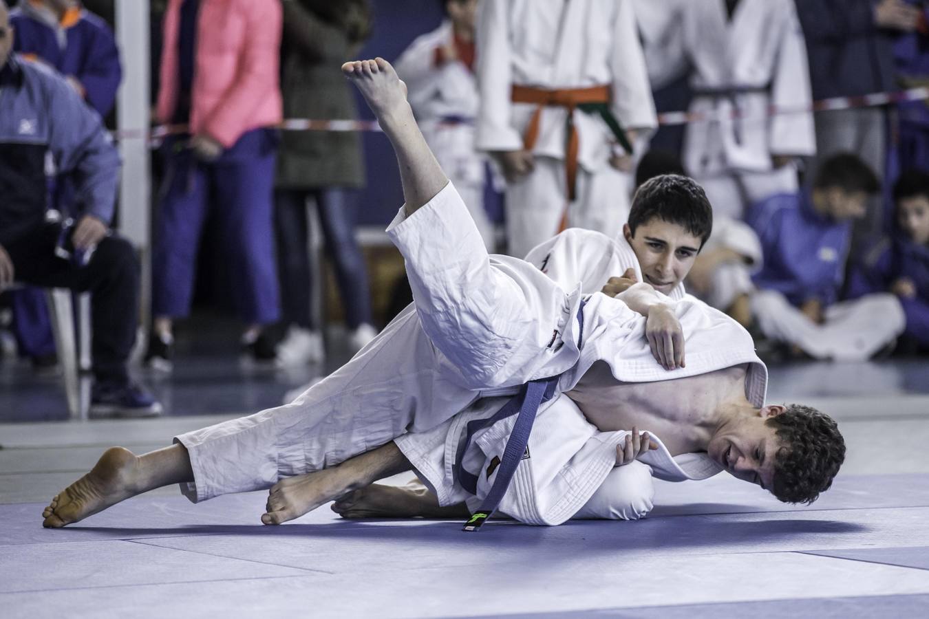 Las técnicas del judo