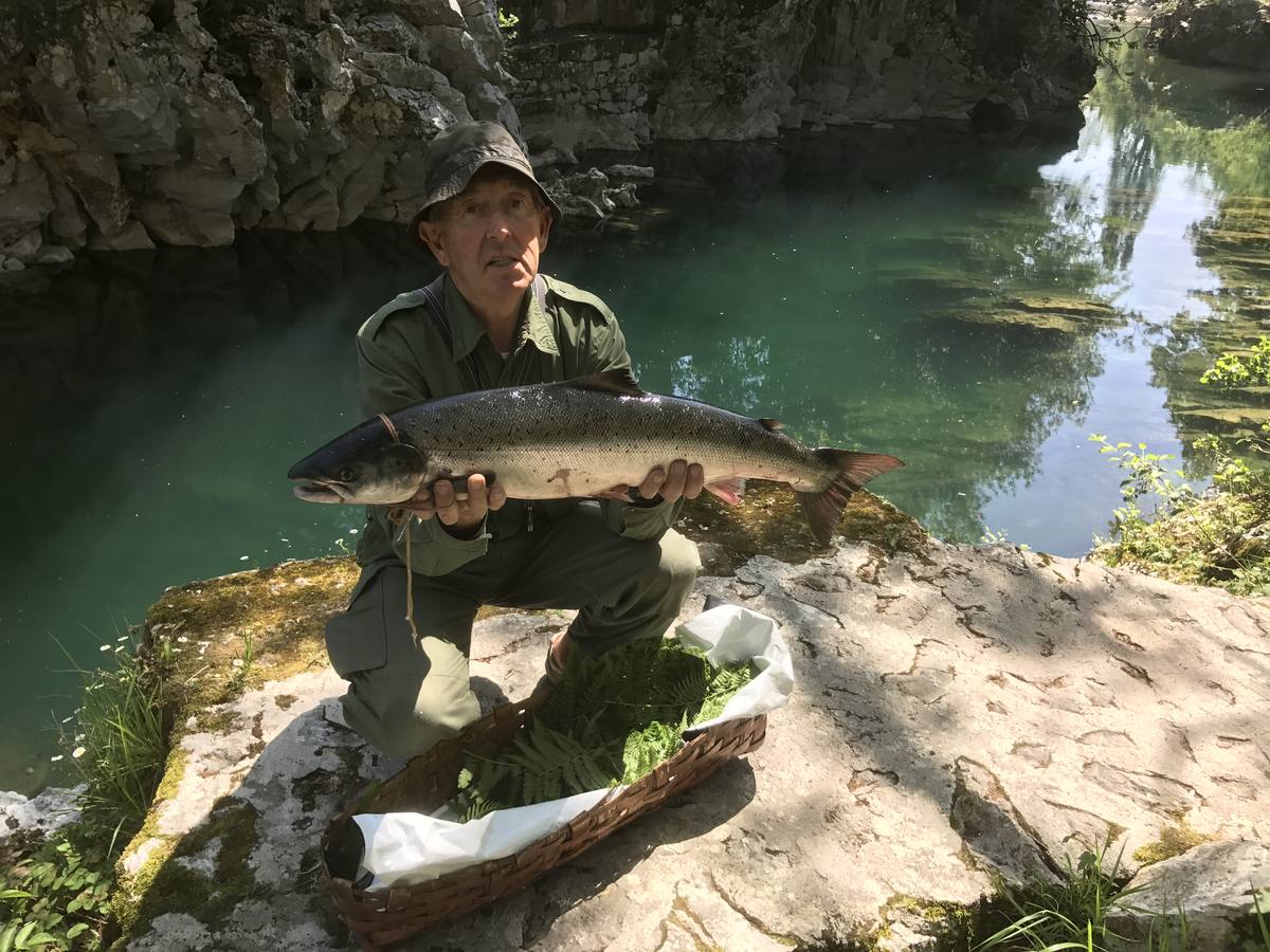 Comienza la campaña del salmón