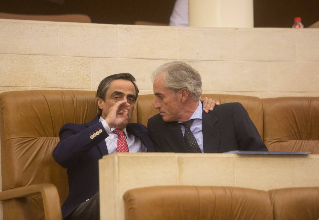 Pleno del Parlamento de Cantabria, este lunes 29 de mayo