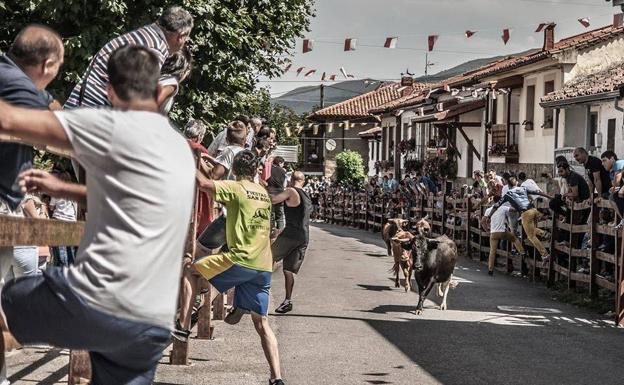 Los encierros de Pie de Concha declara fiesta de Interés Turístico de Cantabria