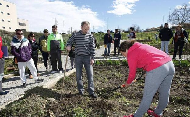 Los huertos urbanos serán adjudicados por sorteo el próximo miércoles