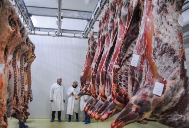 Obras en el Matadero de Reinosa