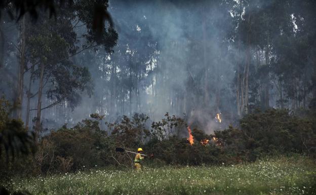 El primer incendio del verano afecta a un monte entre Novales y Golbardo