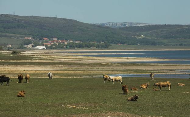 Cantabria no podrá coger agua del Ebro este verano